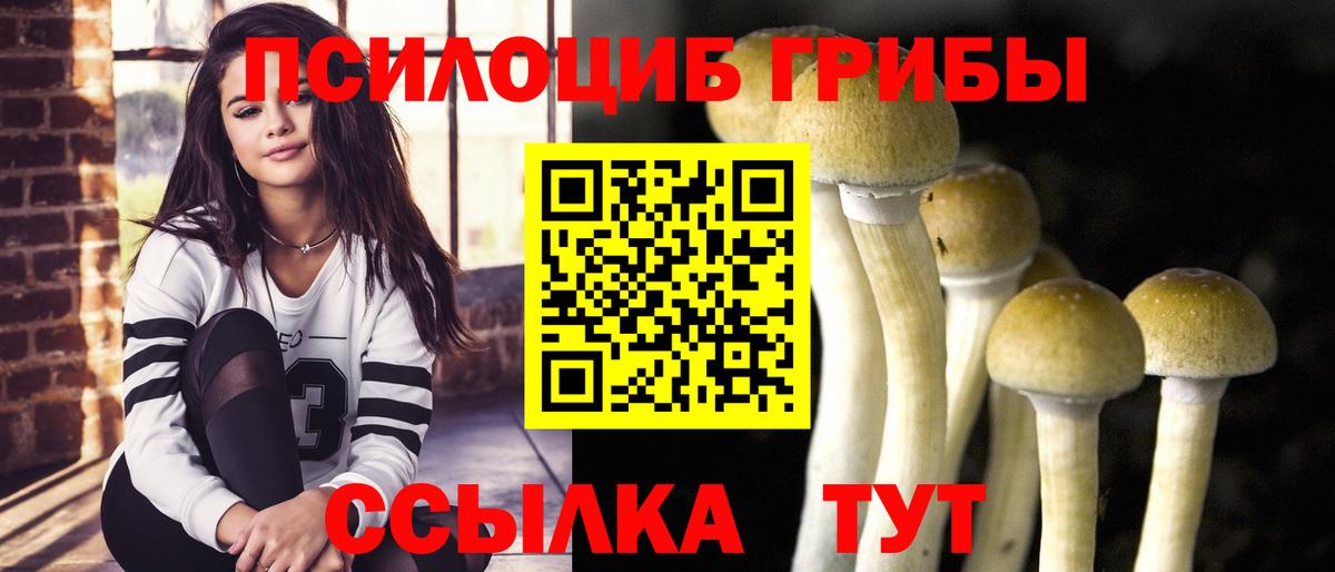 Галлюциногенные грибы мицелий  Вход с VPN  Отрадный 