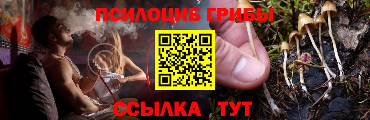 Псилоцибиновые грибы Psilocybine cubensis Отрадный