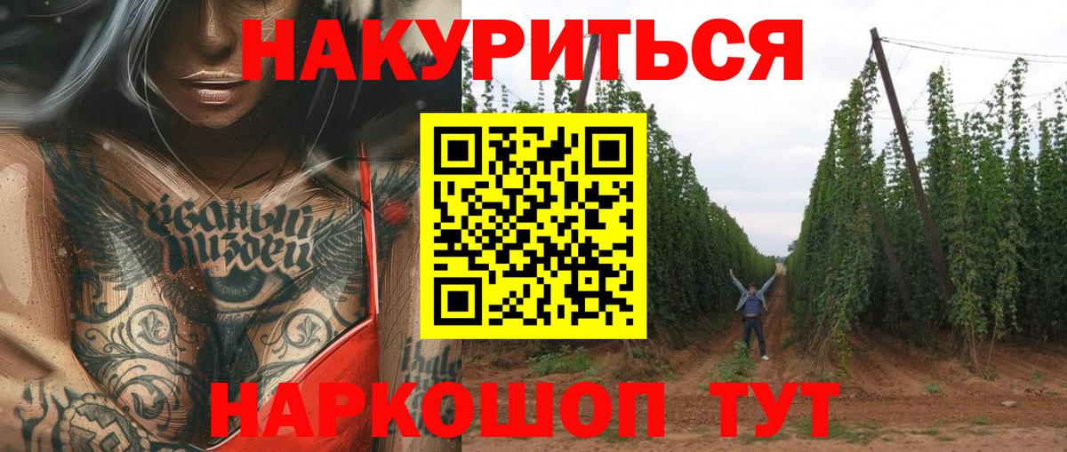 Отрадный  Шишки марихуана Bruce Banner  Каннабис Bruce Banner  Вход с VPN  Бошки марихуана семена 
